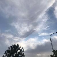 硕果1017头像
