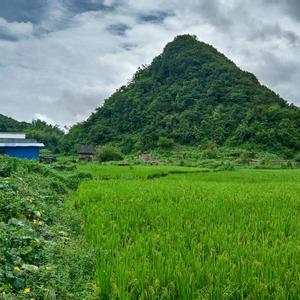 钟勇斌头像