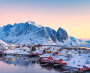 也好最爱LOL的个人资料头像