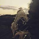 村上找的羊的个人资料头像