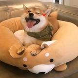 我叫杜海彬头像