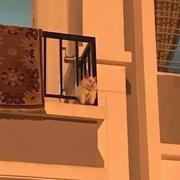 37h的个人资料头像