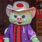 ayyHA的个人资料头像