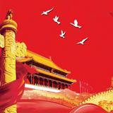 不懂车阿帝头像
