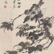 Wantsong的个人资料头像