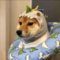 Hsery头像