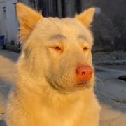 biu922的个人资料头像