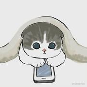 YIN的个人资料头像