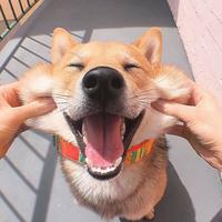 哎呦哥哥你真好头像