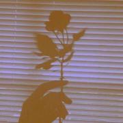 十一月的雨292的个人资料头像