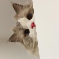 用户4092668815821头像