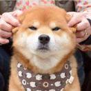 Han君55890的个人资料头像