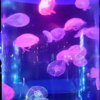 霸气侧漏8888888888头像