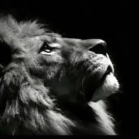 博学清风3XG头像