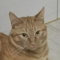 用户8975262860044头像