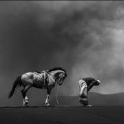 wrh133的个人资料头像