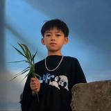 阿巴阿巴608395头像