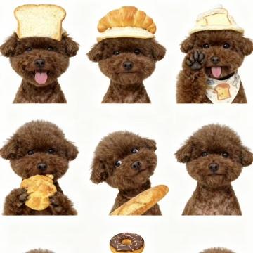 没事就说车头像