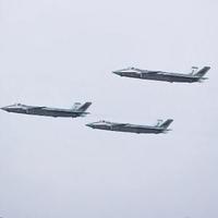 江南富贵树头像