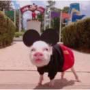 暗杠不想说话的个人资料头像