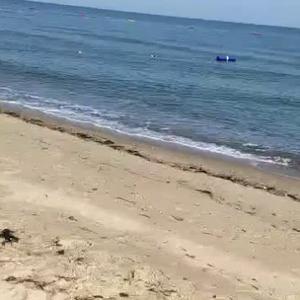 心栋自然梁5O7c头像