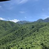 沐牧枫头像