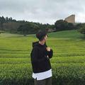 爱生活的晚风q2头像