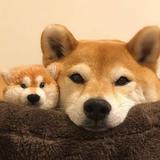 551660439头像