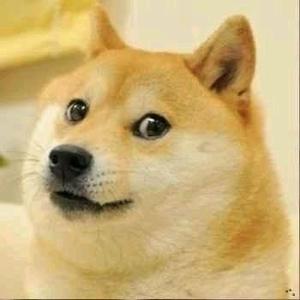 不播华子头像