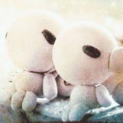 aSAQ84363的个人资料头像