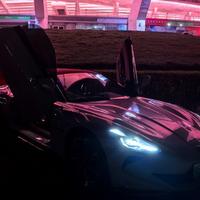 小灰灰的梦幻泡影头像