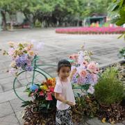 Dolan的个人资料头像