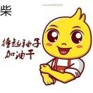 小坏蛋杰森斯坦森的个人资料头像