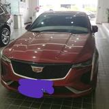 CT4小鬼头像