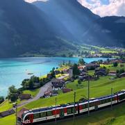 SHISHEN的个人资料头像