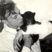 overdosed的个人资料头像