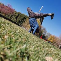 多彩原野dS头像