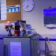 昂仔的个人资料头像