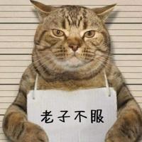 用户7329341615311头像