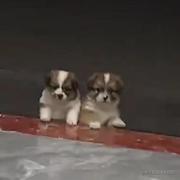 LearningM的个人资料头像