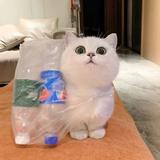 好运连连93327头像