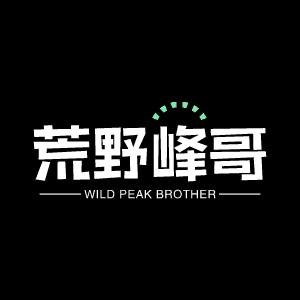 荒野峰哥头像