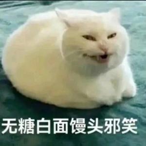 无糖白面馒头邪笑头像