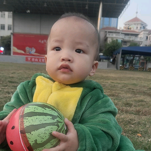 会飞的鱼头像