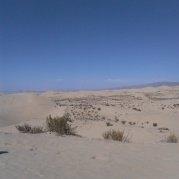 许小可2046的个人资料头像