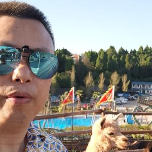 四川小灰哥v头像