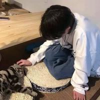 初与久歌613头像