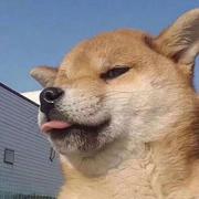 Tabby861的个人资料头像