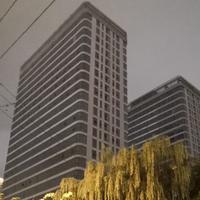 牛牛007007007头像