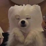 陈六合30头像